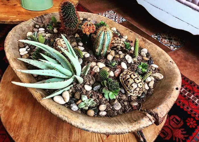 Ξενοδοχείο Amphora 2*